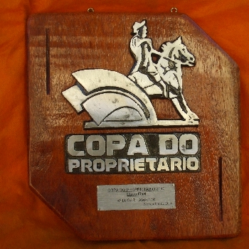 __wf__arquivos/imagens/copa_proprietario_web_2.jpg